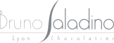 Logo Bruno Saladino