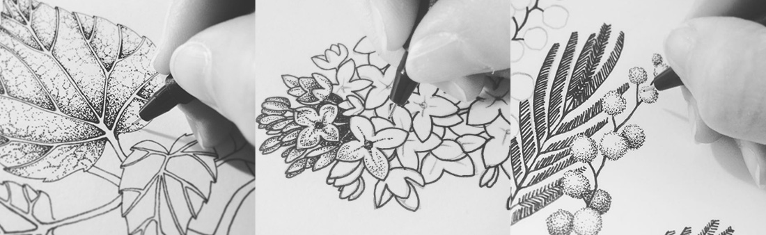 Dessin de plantes à la main