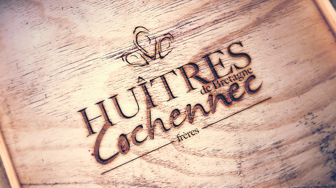 Zoom sur le logotype en version négatif