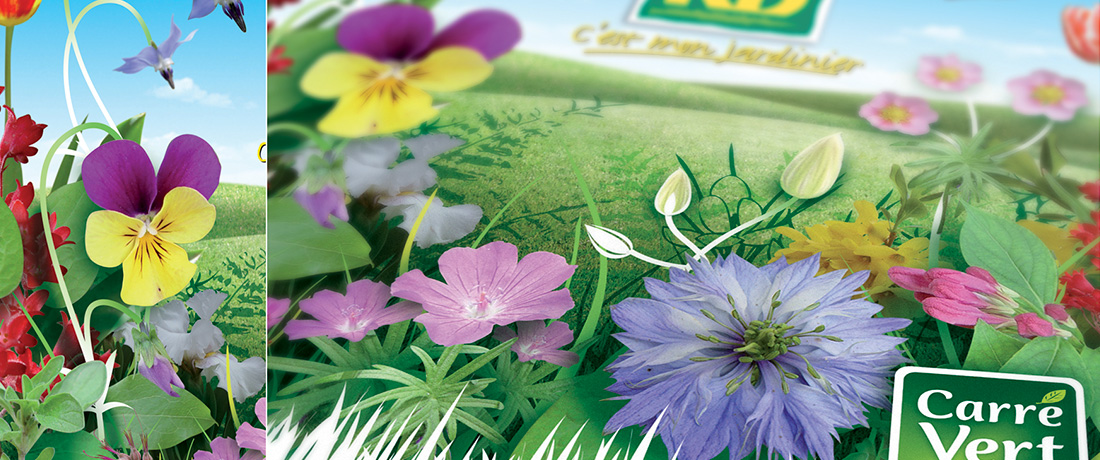 Zoom sur les illustration et photomontage